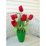 Тюльпаны (7 цветков)
