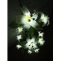 Лилия (11 цветков)